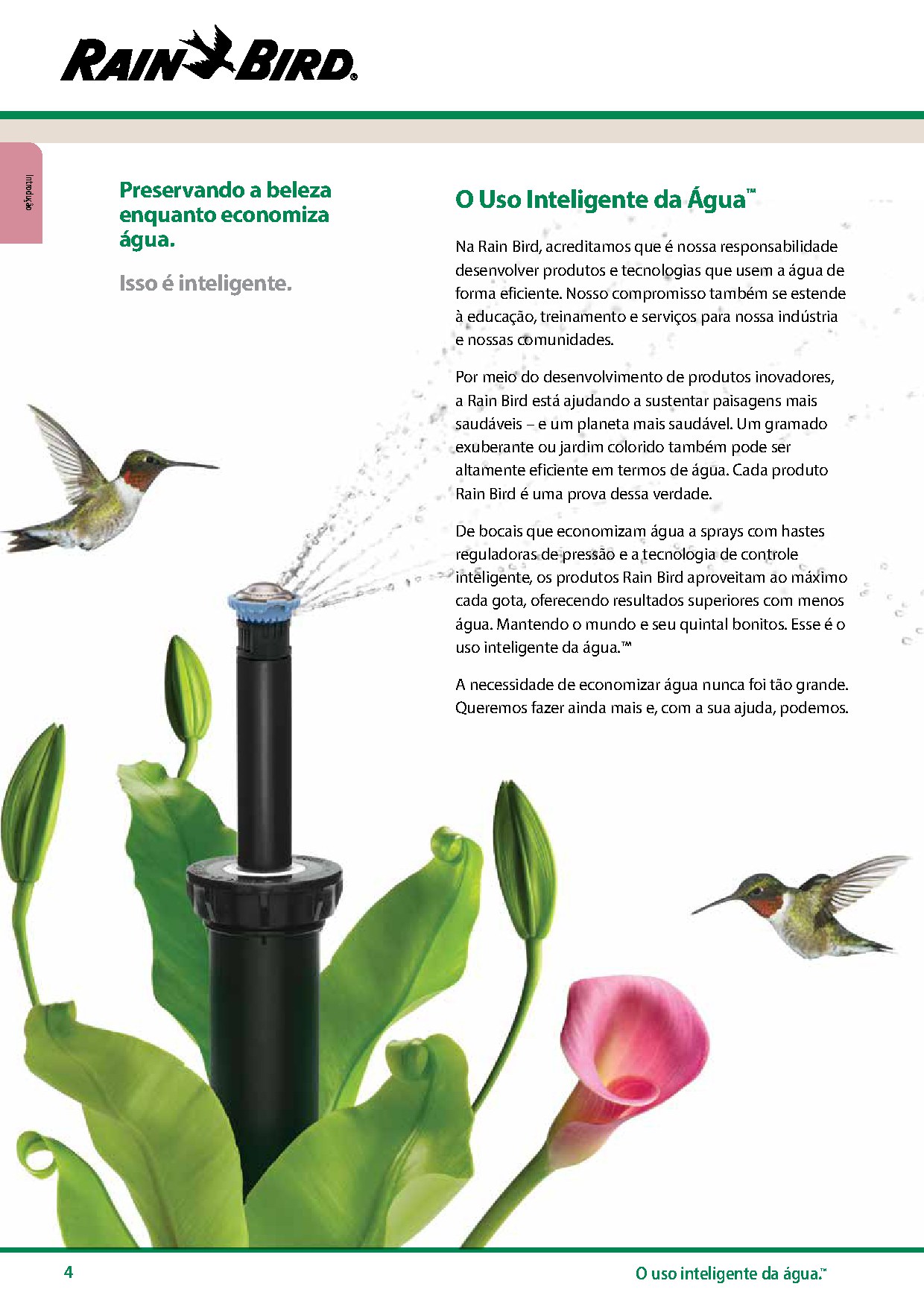 Soluções de irrigação automática Rain Bird